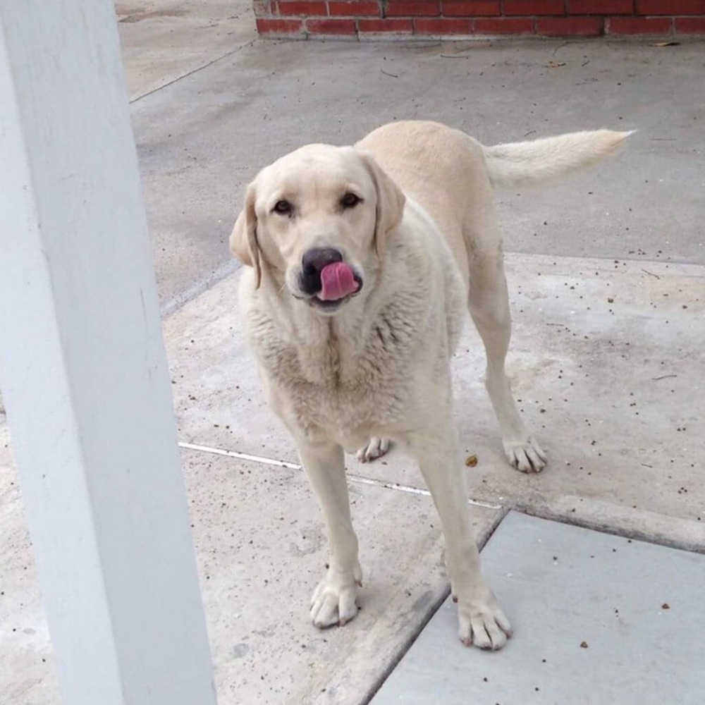 Meet your Posher, Katherine